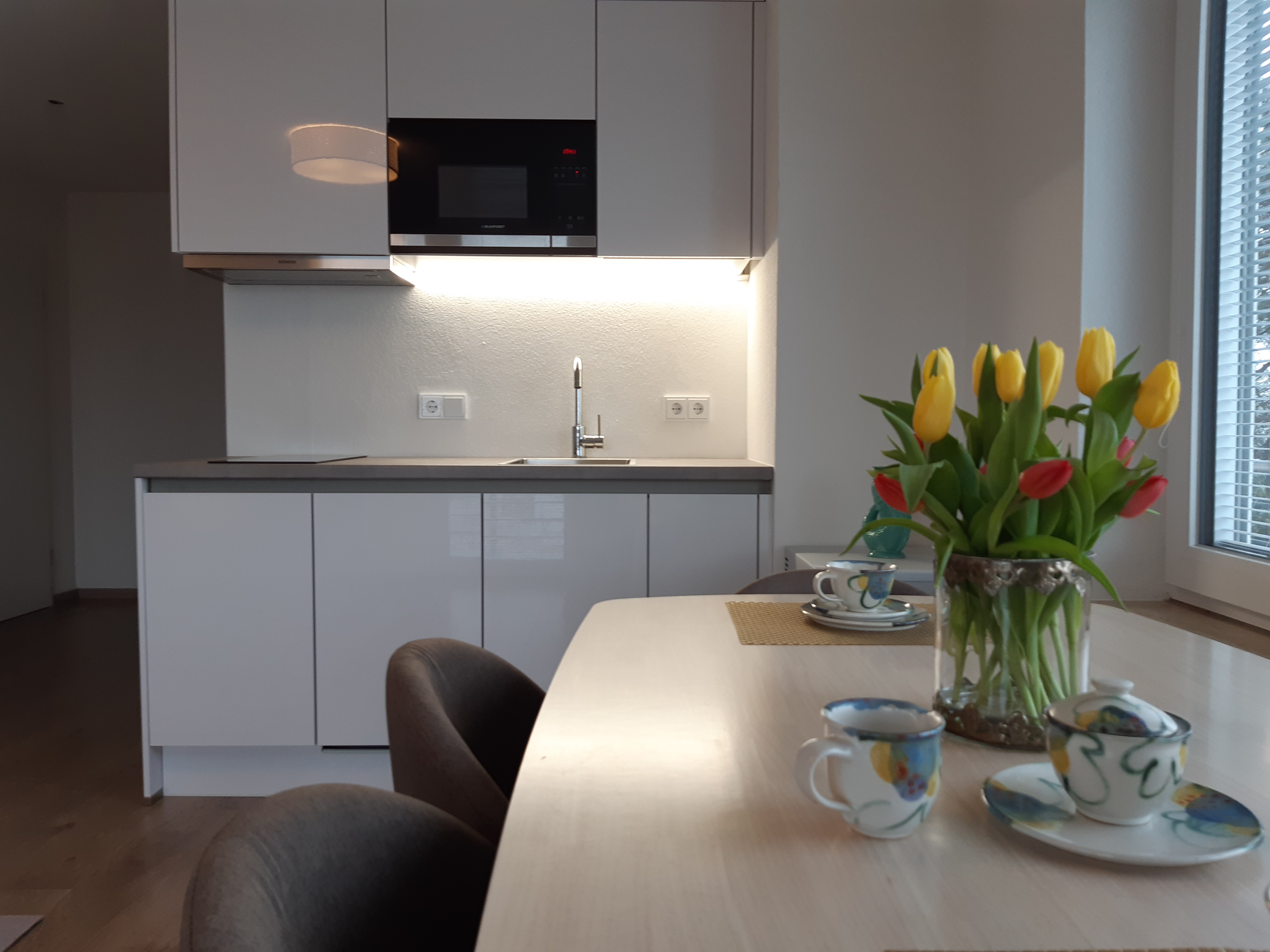 decoration-interior-alexs-varjao-decorator-germany-spain-holiday-apartments-boutique-famous-Castle-Bavarian-King-Ludwig-Schloss-Neuschwanstein-Füssen-cozy-design-open-kitchen