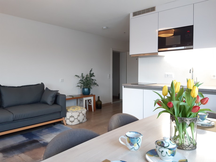 decoration-interior-alexs-varjao-decorator-germany-spain-holiday-apartments-boutique-famous-Castle-Bavarian-King-Ludwig-Schloss-Neuschwanstein-Füssen-open-desing-kitchen-cozy-tulipes